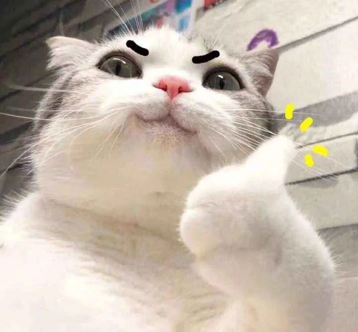 1660110088203970.jpg 640.jpg